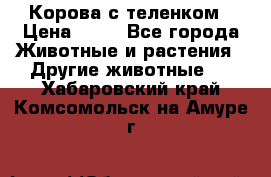 Корова с теленком › Цена ­ 69 - Все города Животные и растения » Другие животные   . Хабаровский край,Комсомольск-на-Амуре г.